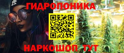 дмт Бийск