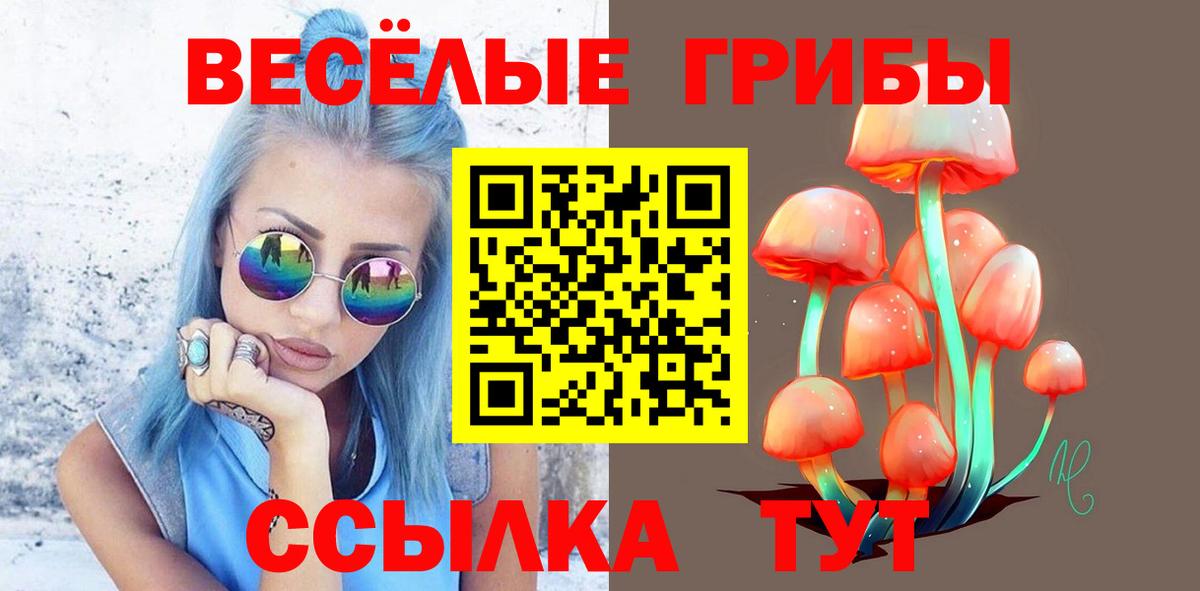 Галлюциногенные грибы Cubensis  Псилоцибиновые грибы MAGIC MUSHROOMS  Сергиев Посад  Вход с VPN 